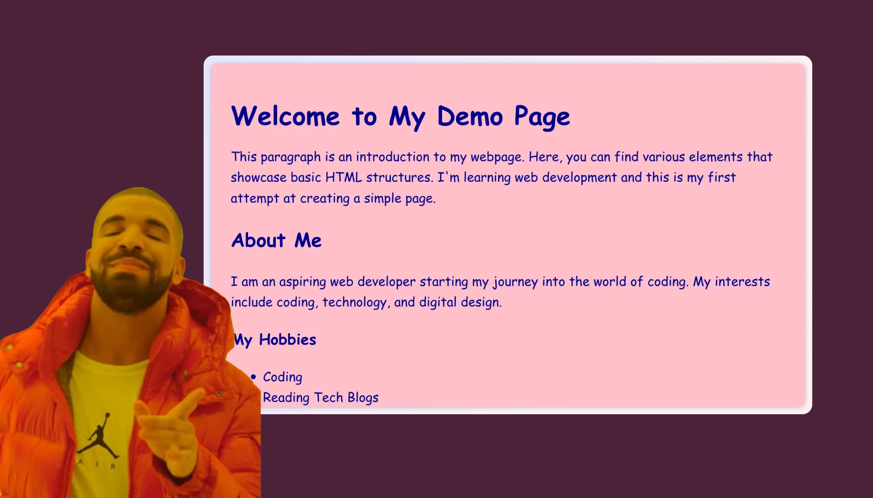 An image of an HTML page after applying CSS